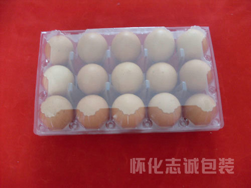 15枚长方形鸡蛋盒/ 怀化吸塑包装厂家/怀化杨梅盒/怀化水果盒